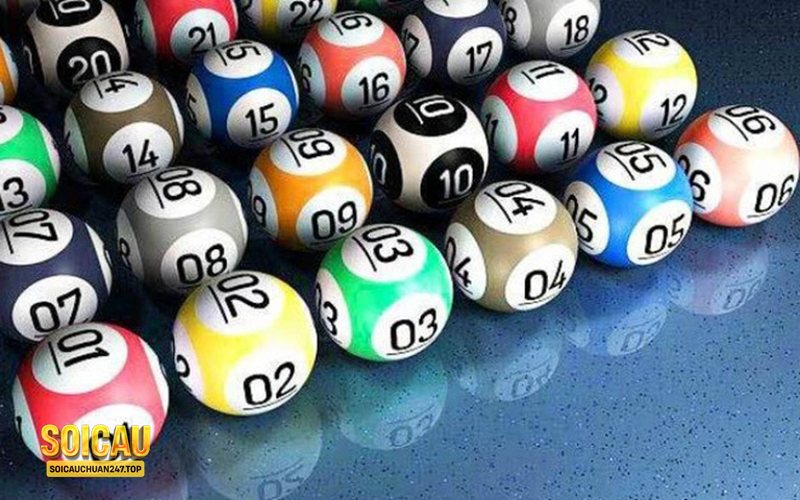 Soi rong bach kim - Cách đọc Soi rong bach kim theo từng bước Soi rong bach kim - Cách đọc Soi rong bach kim theo từng bước